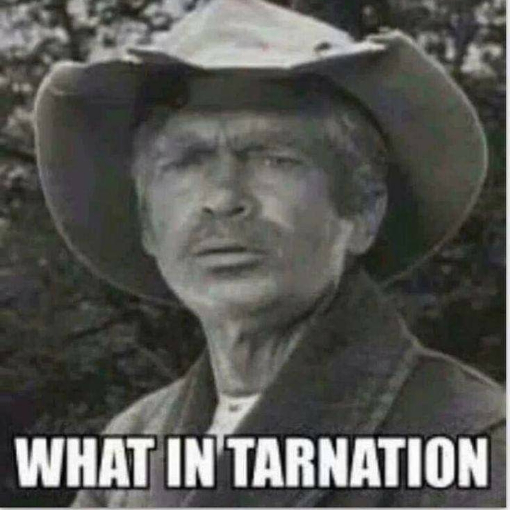 Meet your Posher, Billy